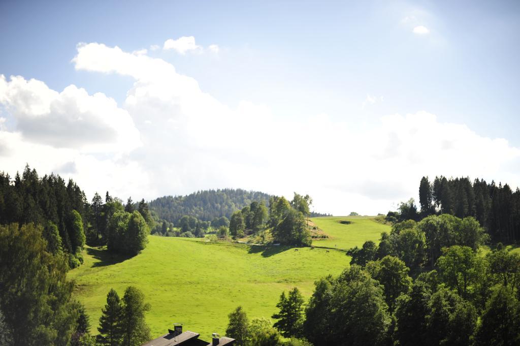 Hotel Ferien Residenz Bergfried Hinterzarten Exteriér fotografie